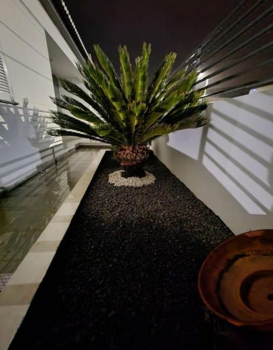 Vila Da Pesca House Rabo de Peixe Εξωτερικό φωτογραφία